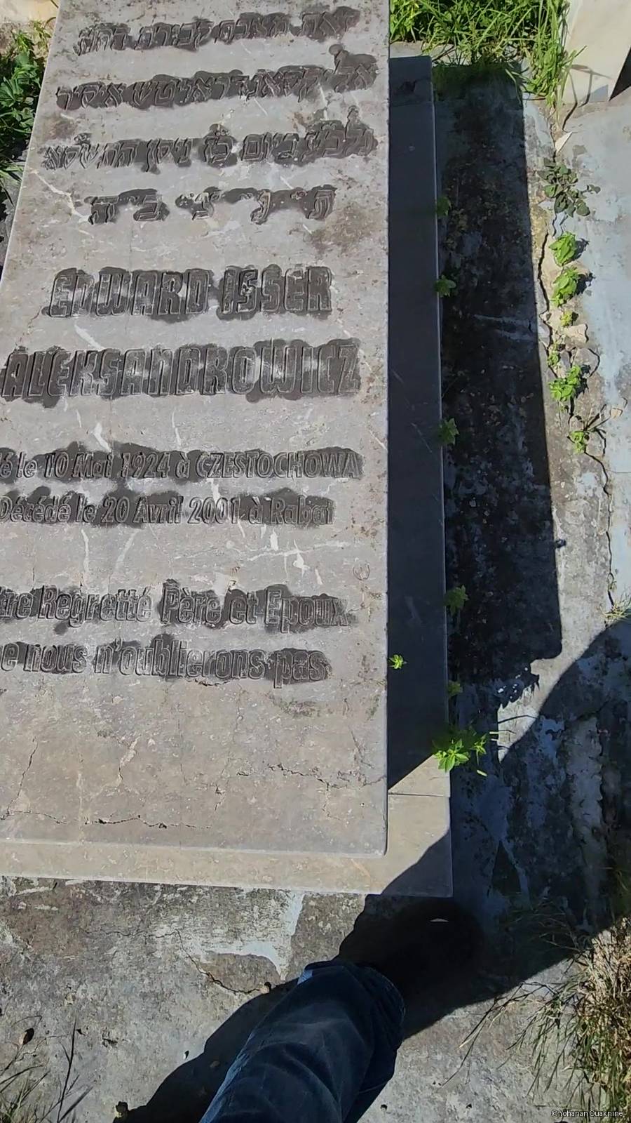 מַצֵּבה פון ALEKSANDROWICZ Edouard Isser