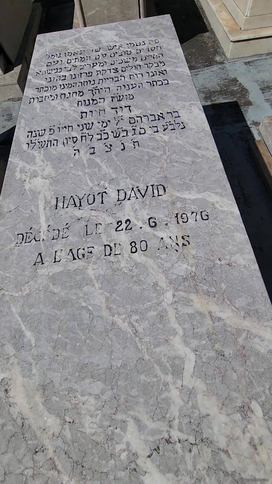شاهدة قبر HAYOT DAVID