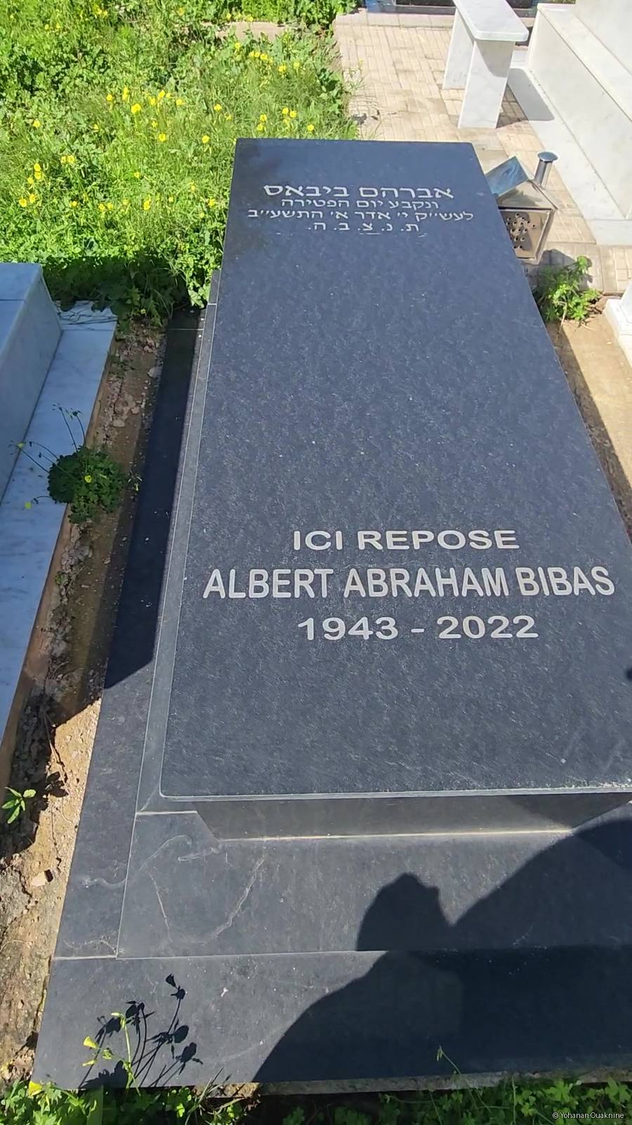 Grabstein von BIBAS Albert Abraham