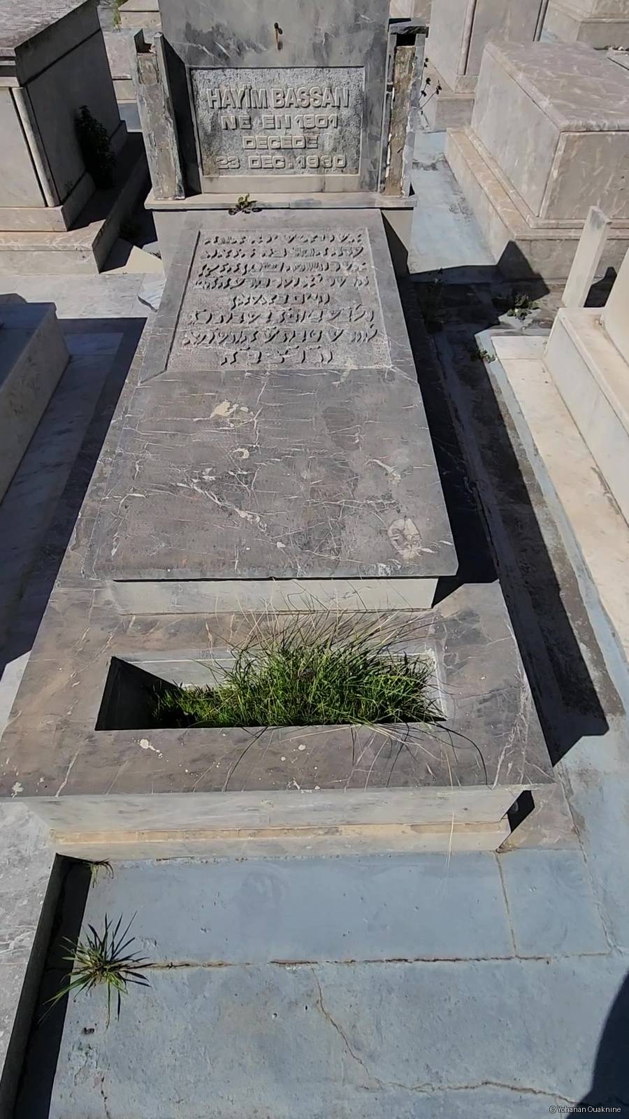 מצבת BASSAN HAYIM