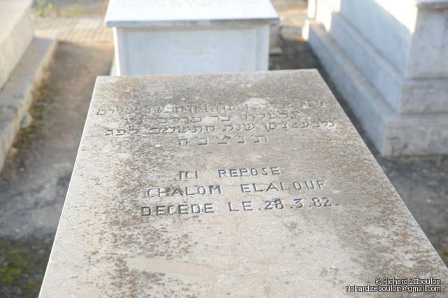 Grabstein von ELALOUF CHALOM