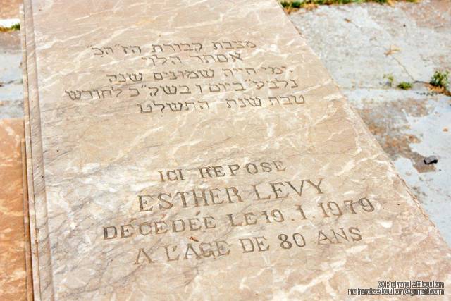 מַצֵּבה פון LEVY ESTHER