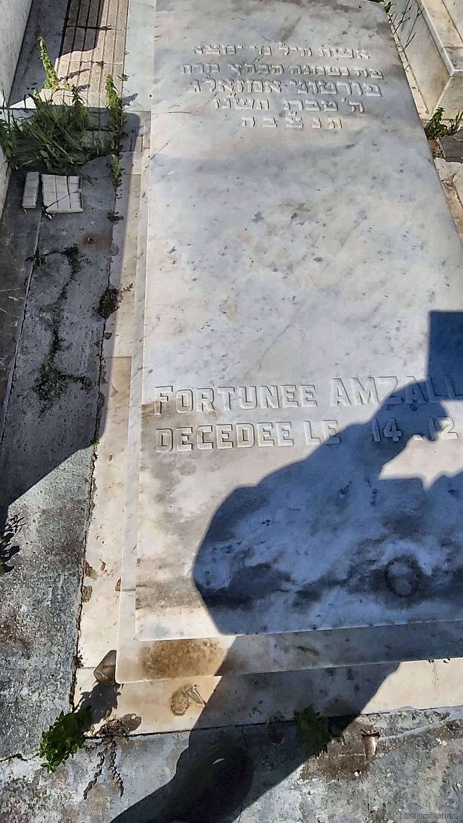 Lápide de AMZALLAG Fortunee