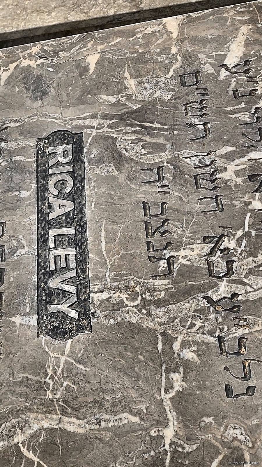 Grabstein von LEVY Rica