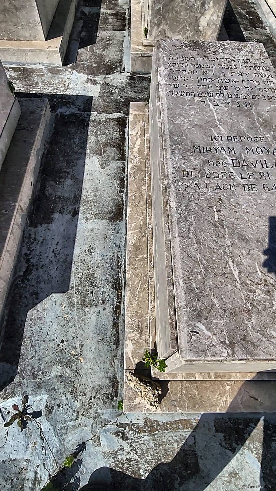 Lápide de MOYA Miryam