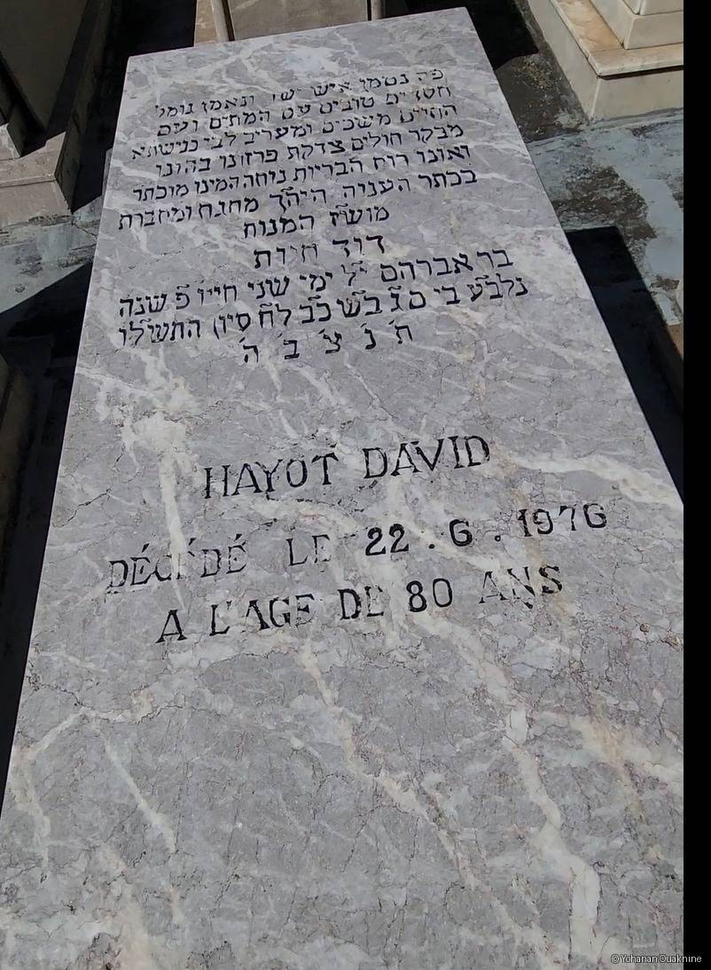 Grabstein von Hayot David