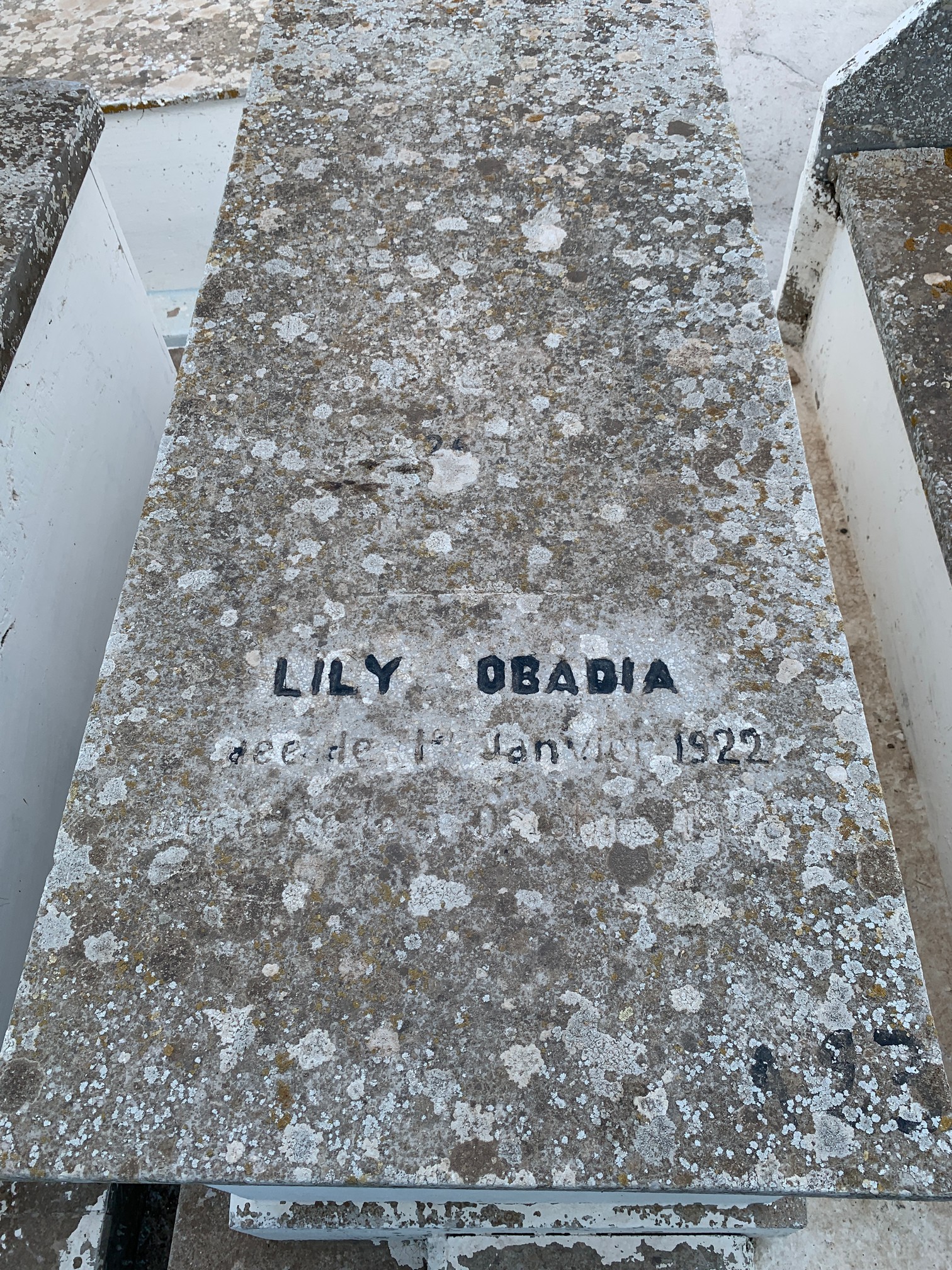 מצבת OBADIA Lily