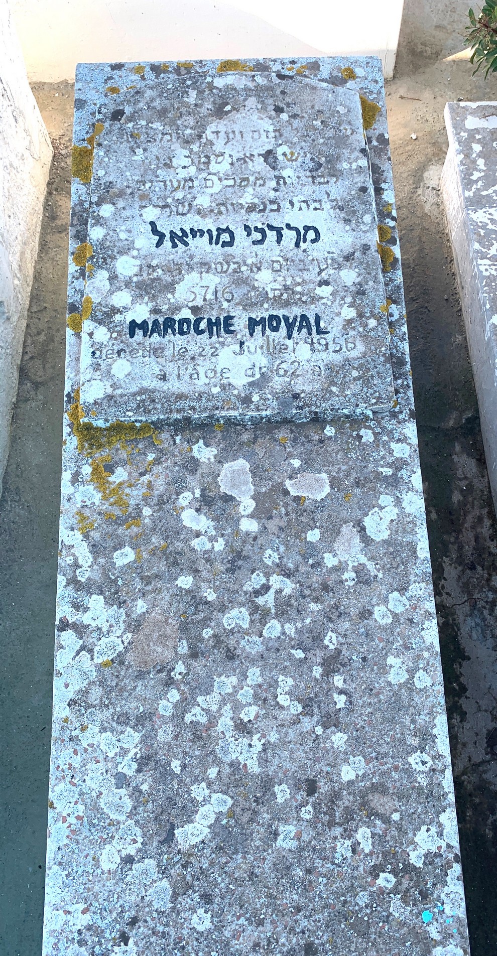Lápide de MOYAL Mardoche