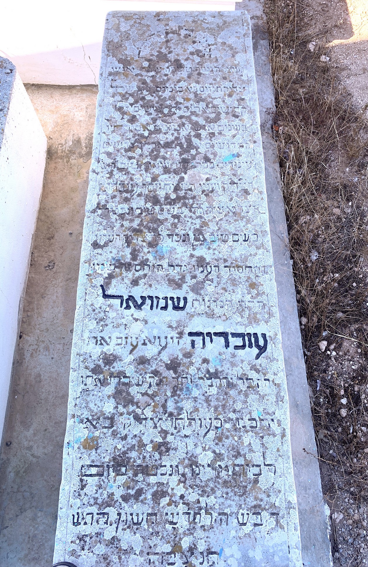 Stèle de Ovadia samuel
