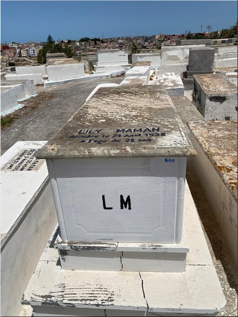 מצבת MAMAN Lily