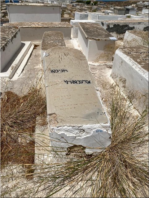 شاهدة قبر Serfaty Hanina
