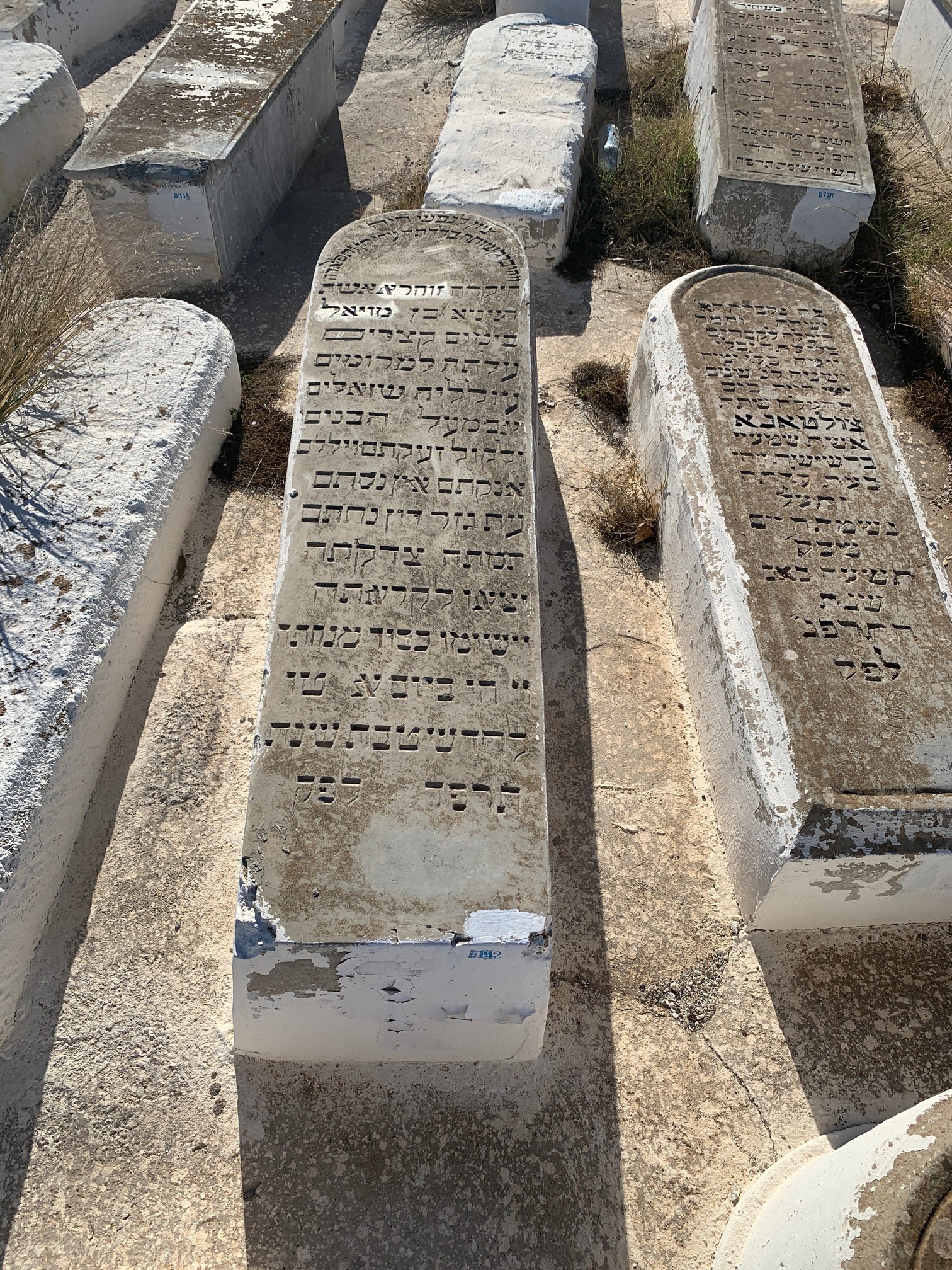 מצבת Mouyal Zohra