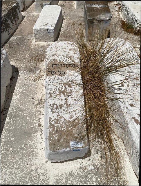 מַצֵּבה פון Klapha Messaouda