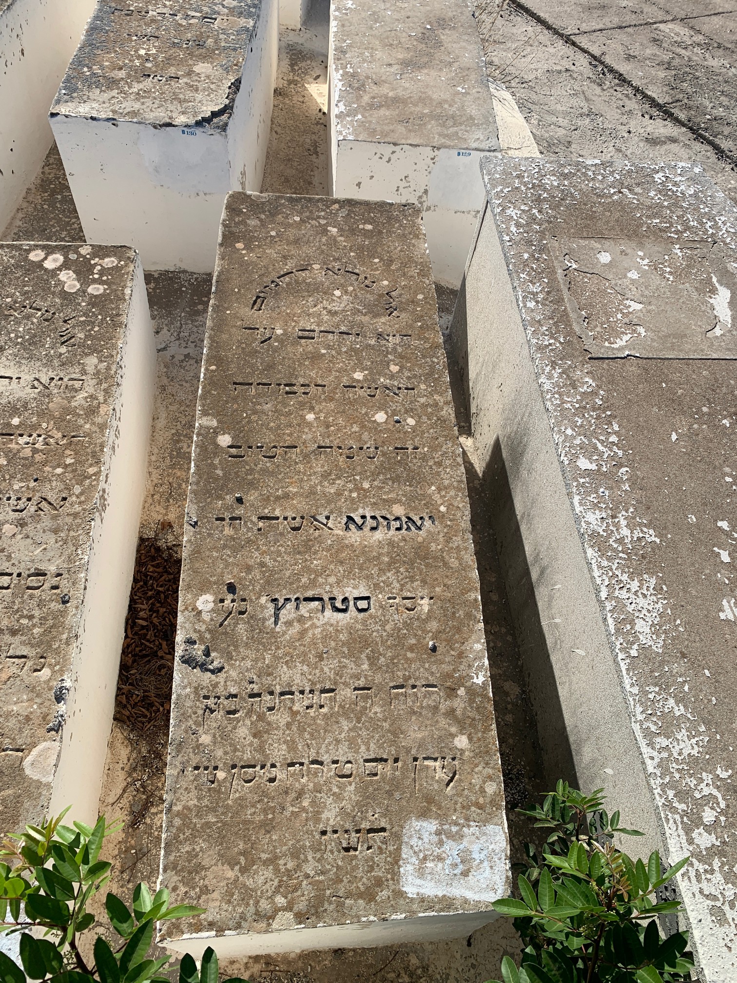 מצבת Sitruk Yamna