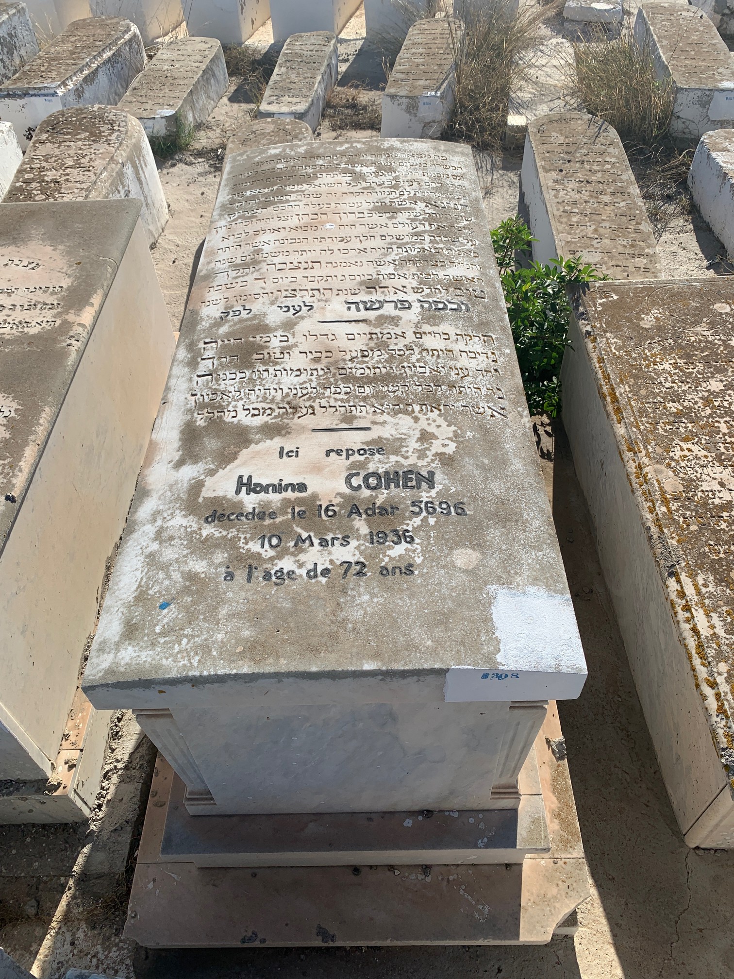 شاهدة قبر COHEN Honina