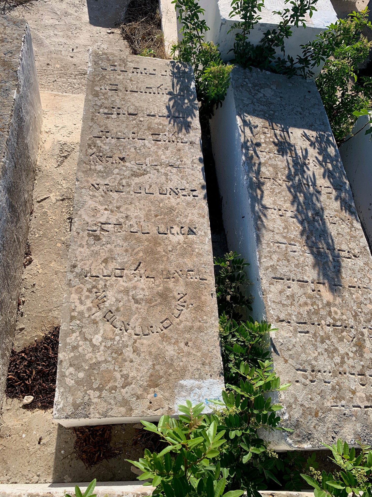 מצבת Habib hnina