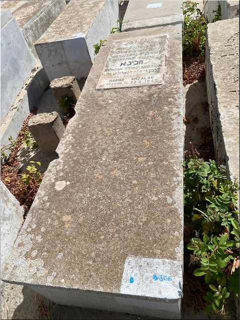 Estela de Amzallag Habiba