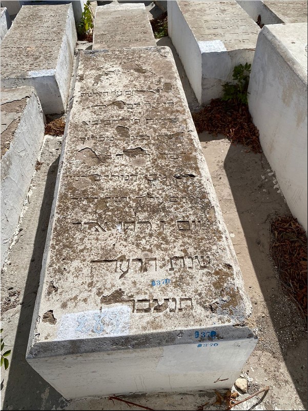 Stèle de Cohen Hbiba