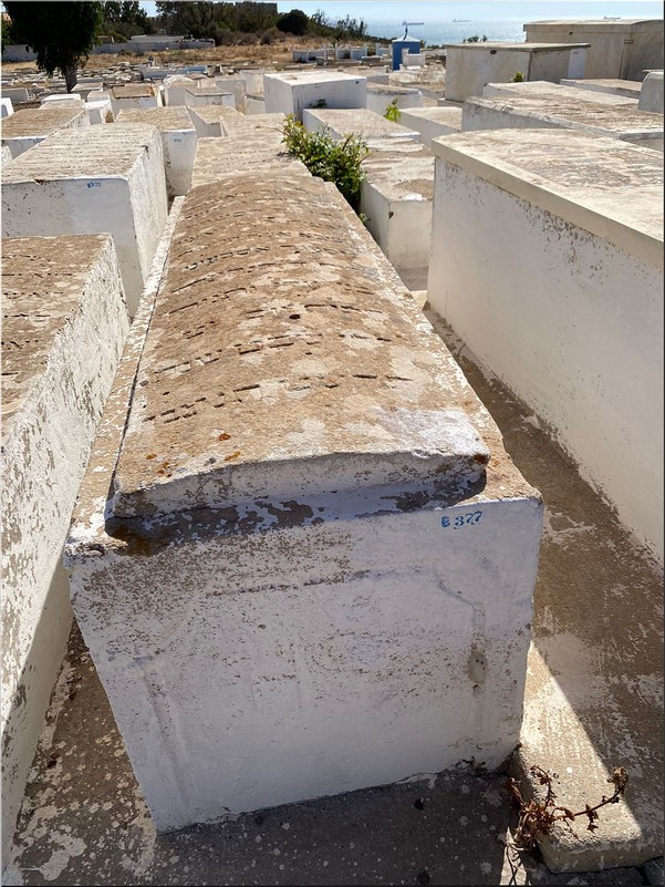 شاهدة قبر Sibony Habiba
