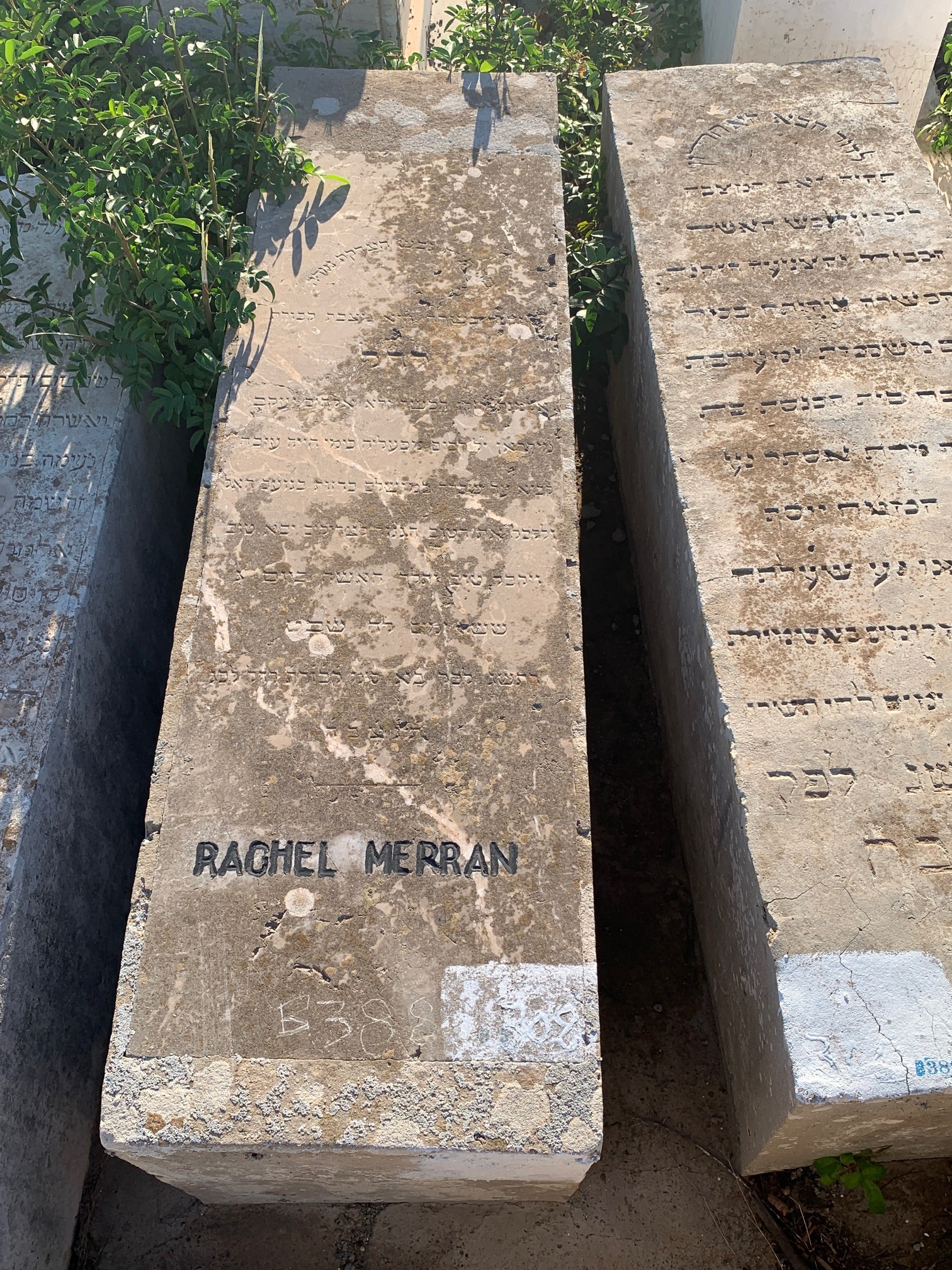 מצבת Merran Rachel