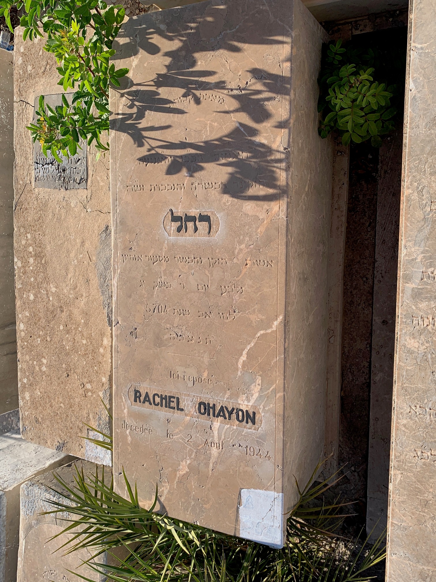 Ohayon Rachel 的墓碑
