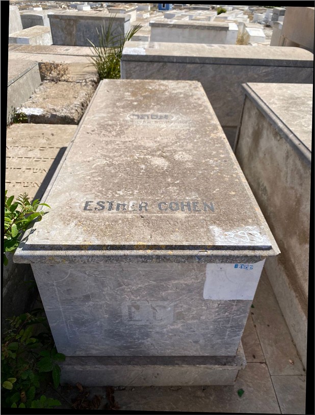 מצבת Cohen Esther