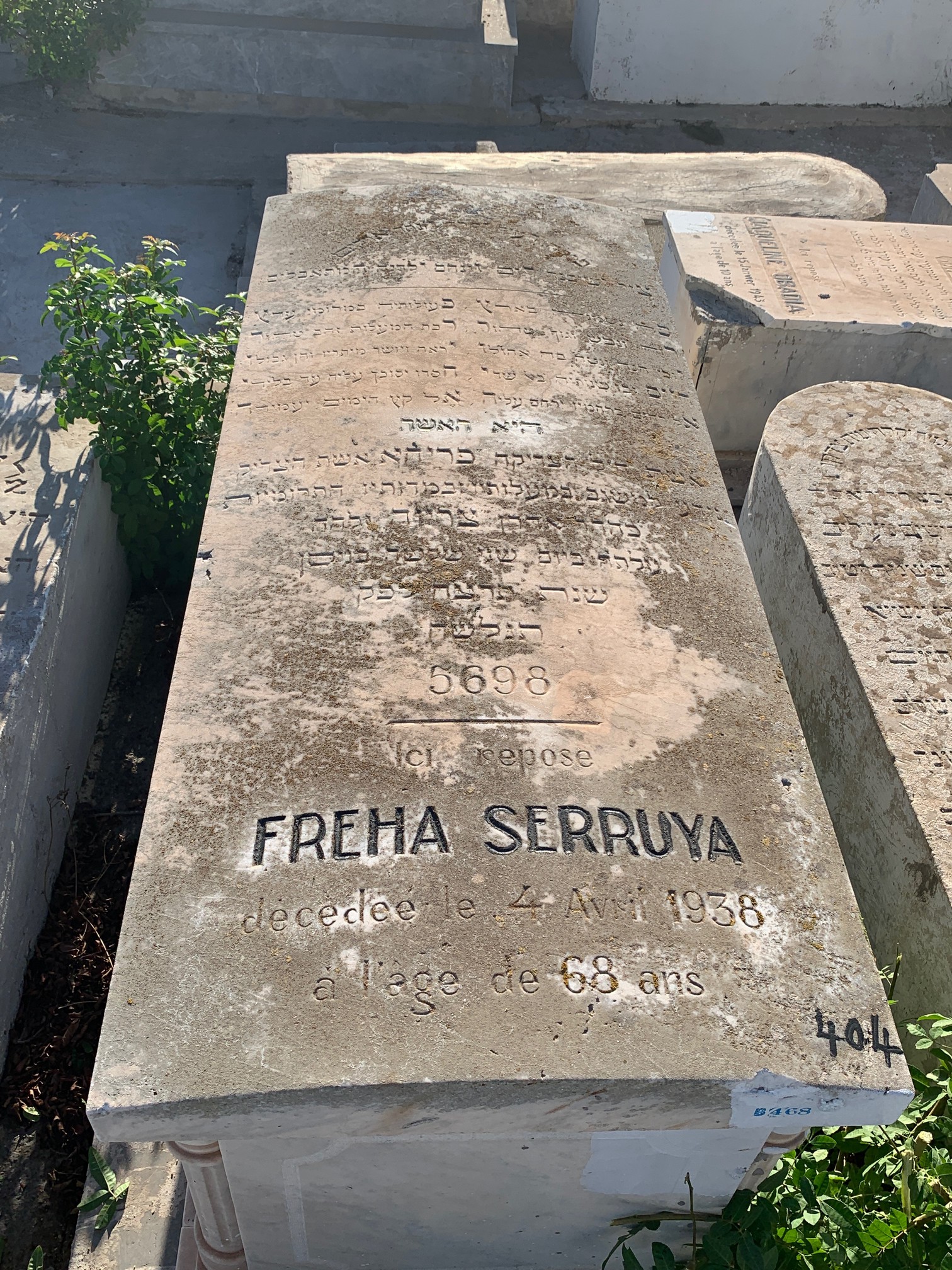 Estela de Serruya Freha