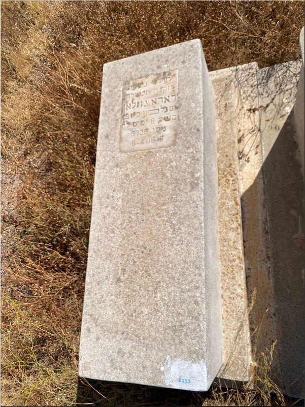 Estela de Gozlan Dada