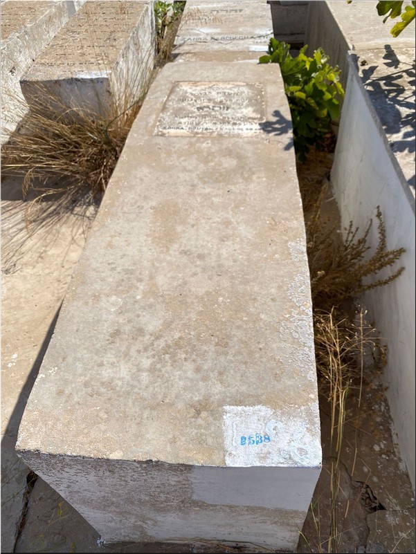 Grabstein von Moyal Zohra