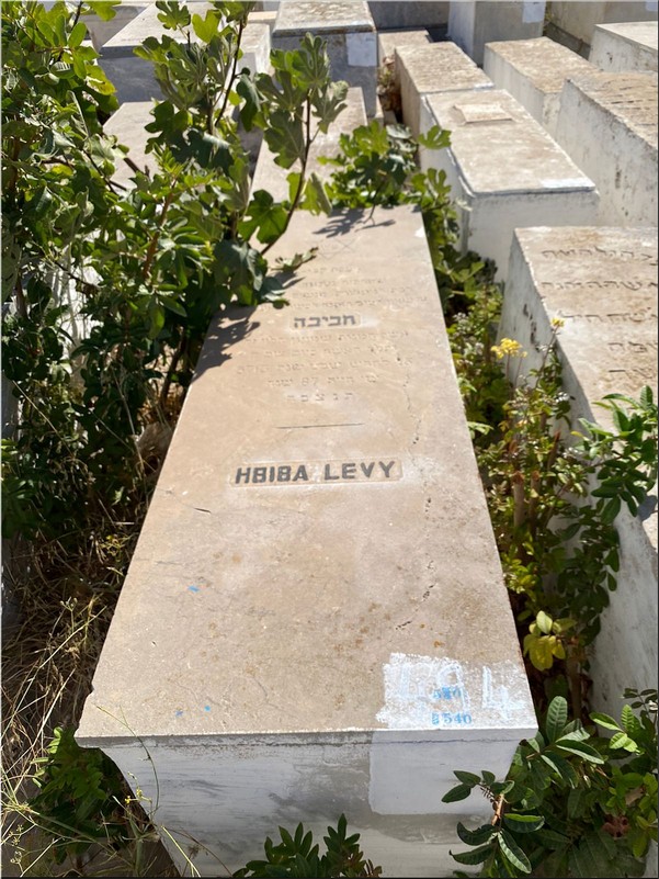 מַצֵּבה פון Lévy Hbiba