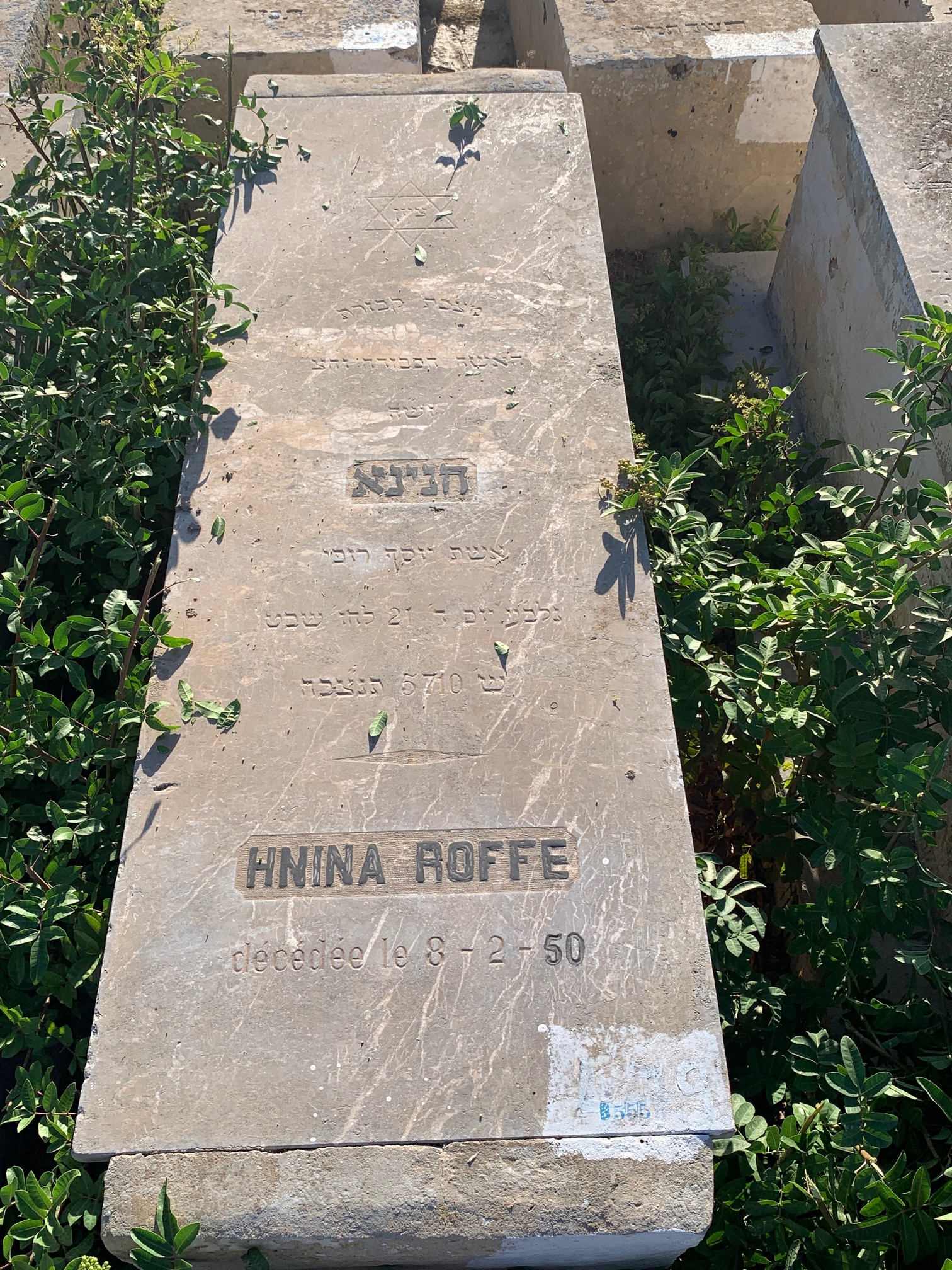 מַצֵּבה פון Roffe Hnina