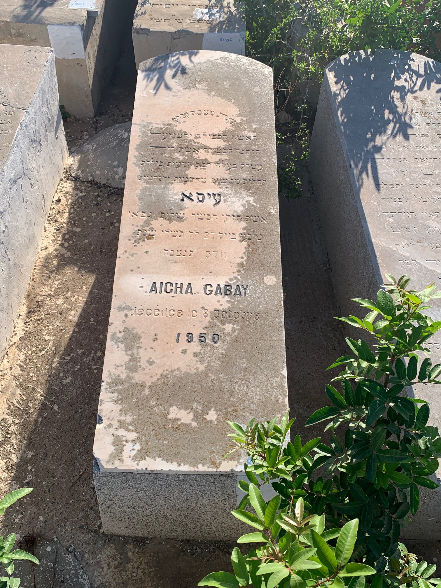 Grabstein von Gabbay Aïcha