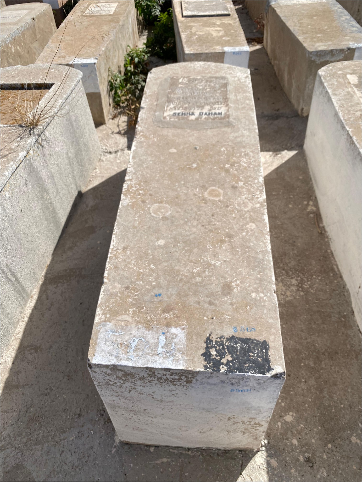 מַצֵּבה פון Dahan Simha