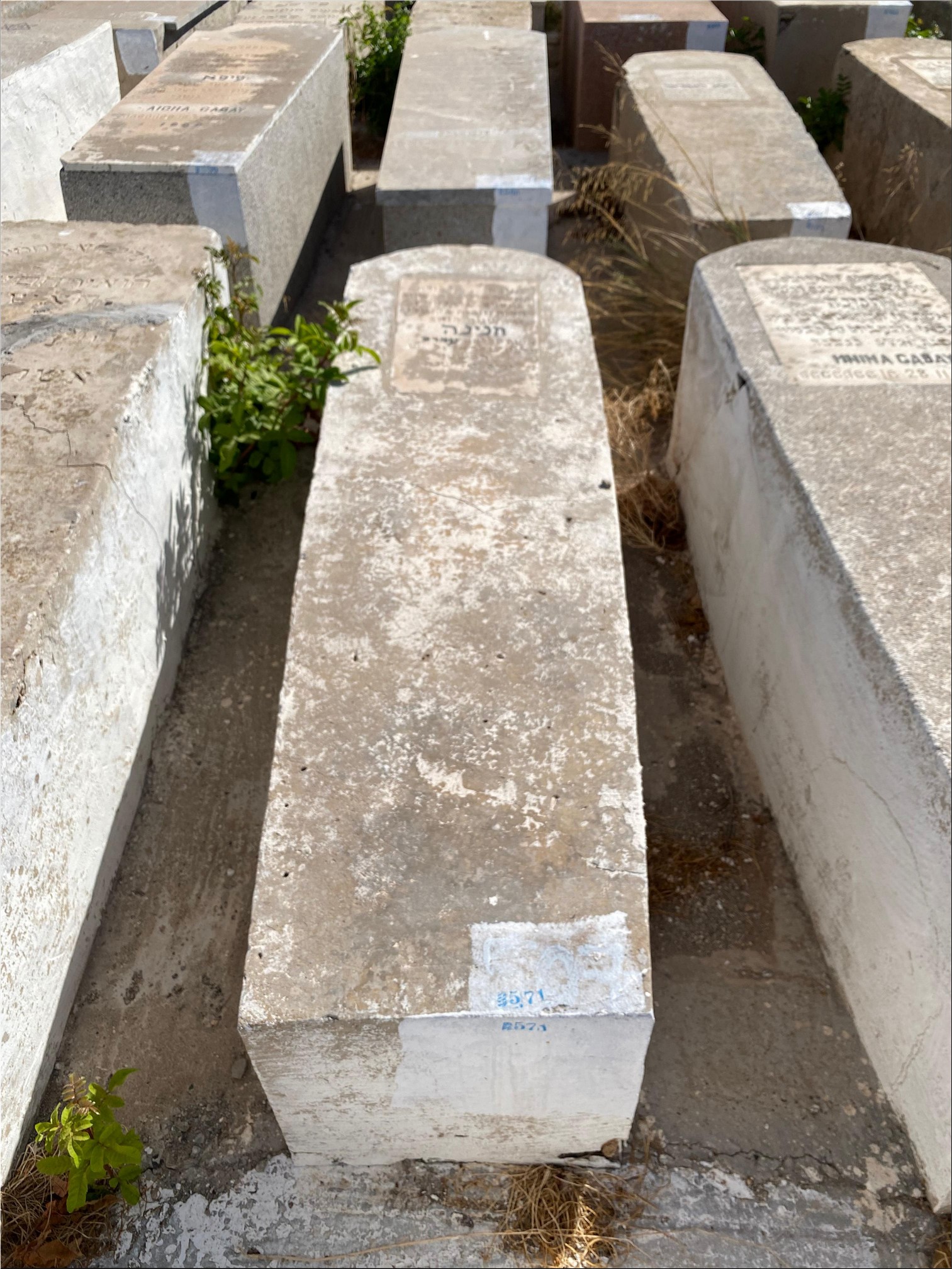 מצבת Zeev Rozov Hnina