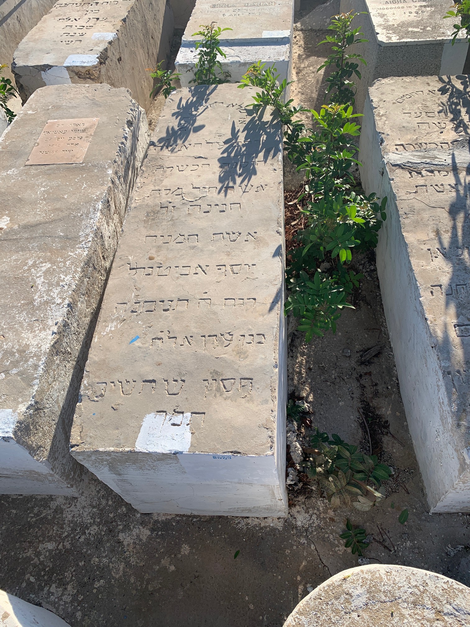Tombstone of Abitbol hanina