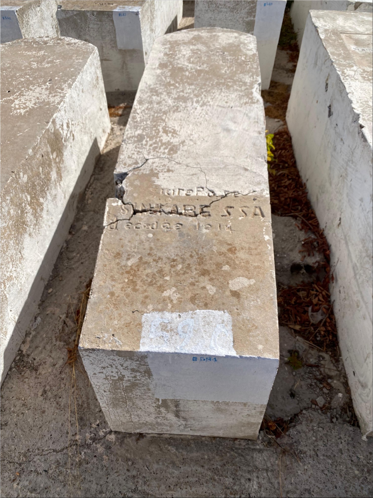 Estela de Cabessa Simha