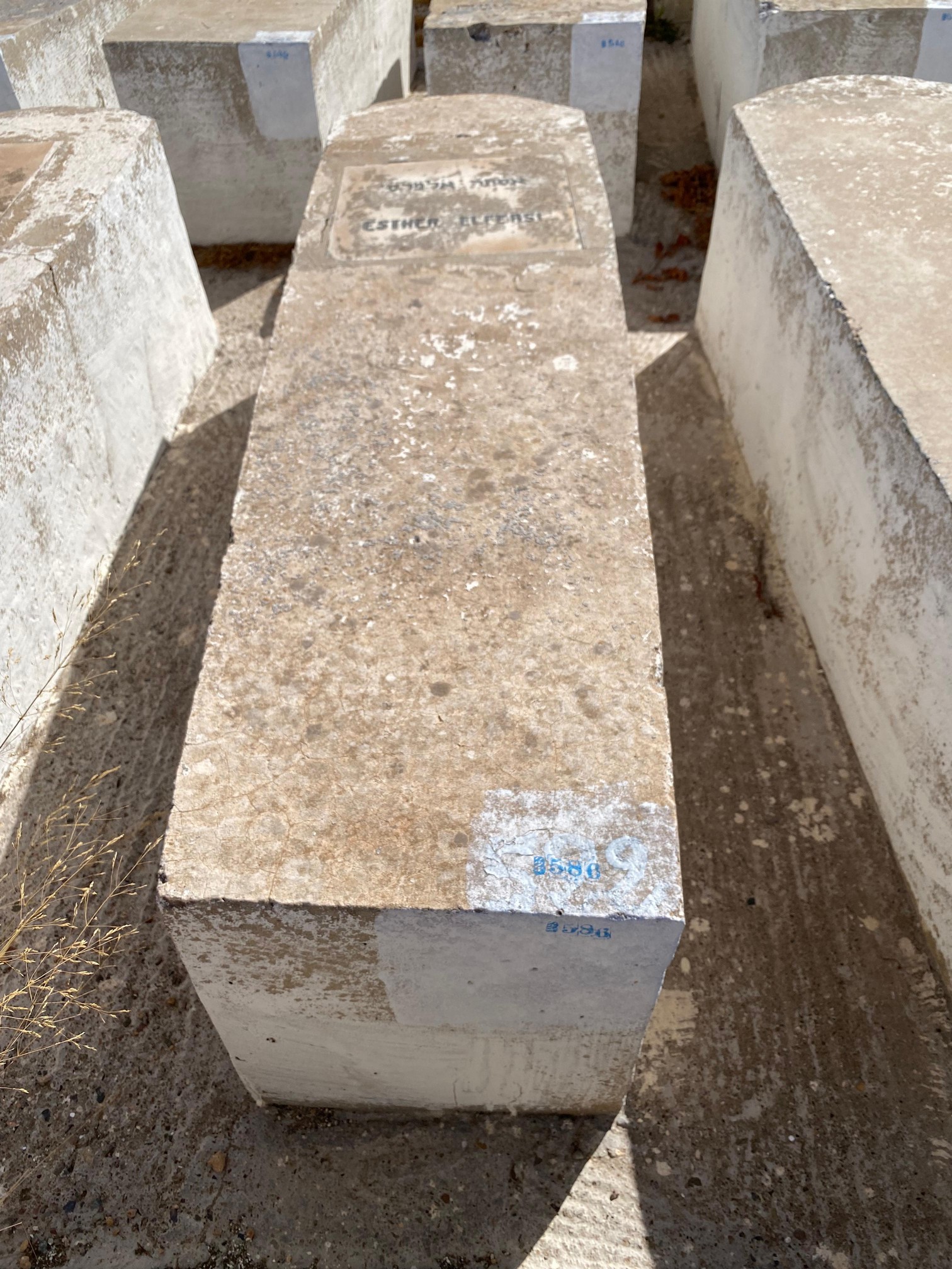 Stèle de Elfassy Esther