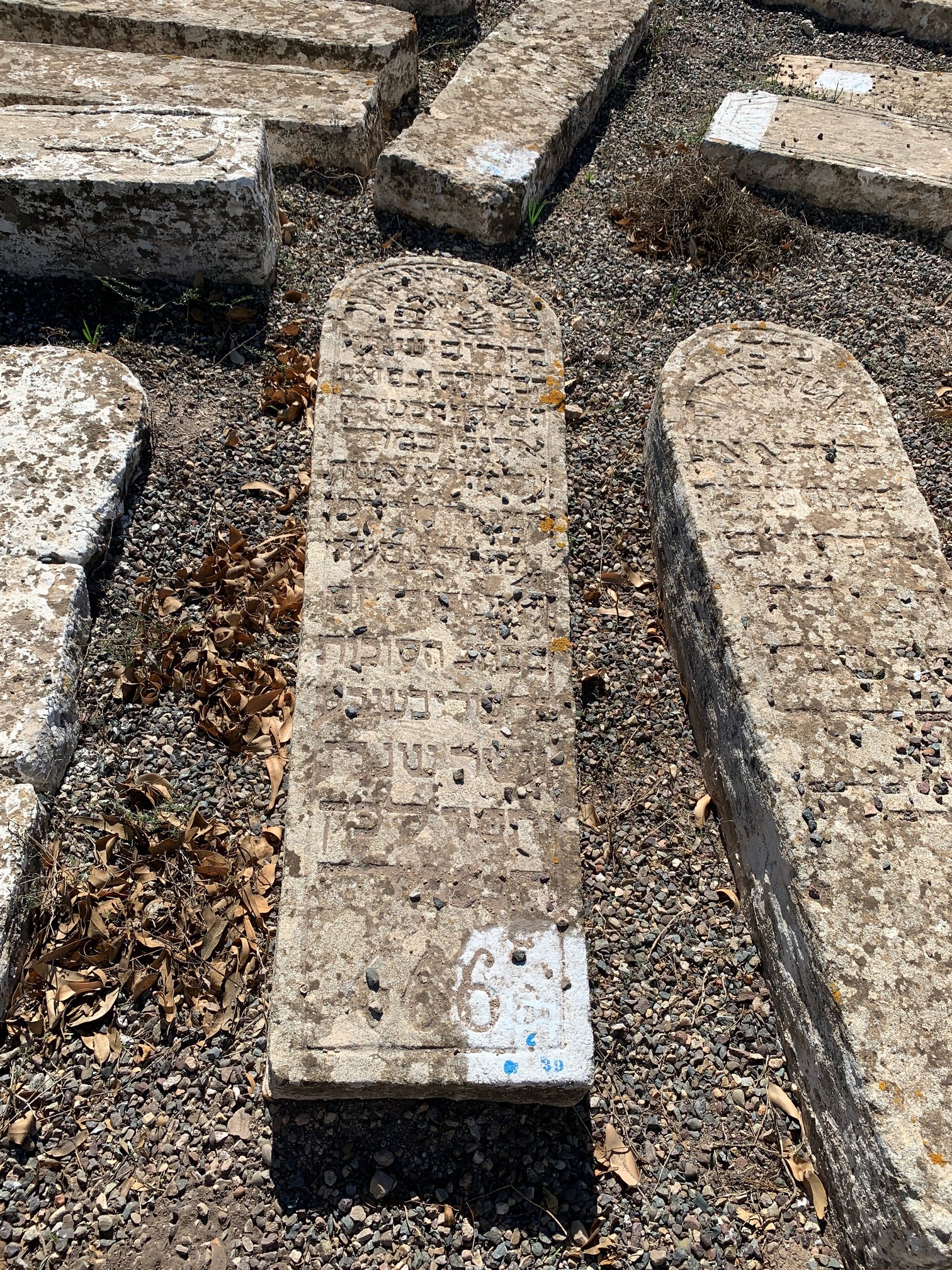 מַצֵּבה פון Hatchuel Aliza