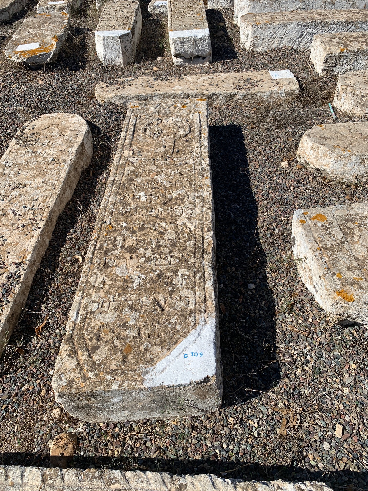 מצבת Marciano Simha