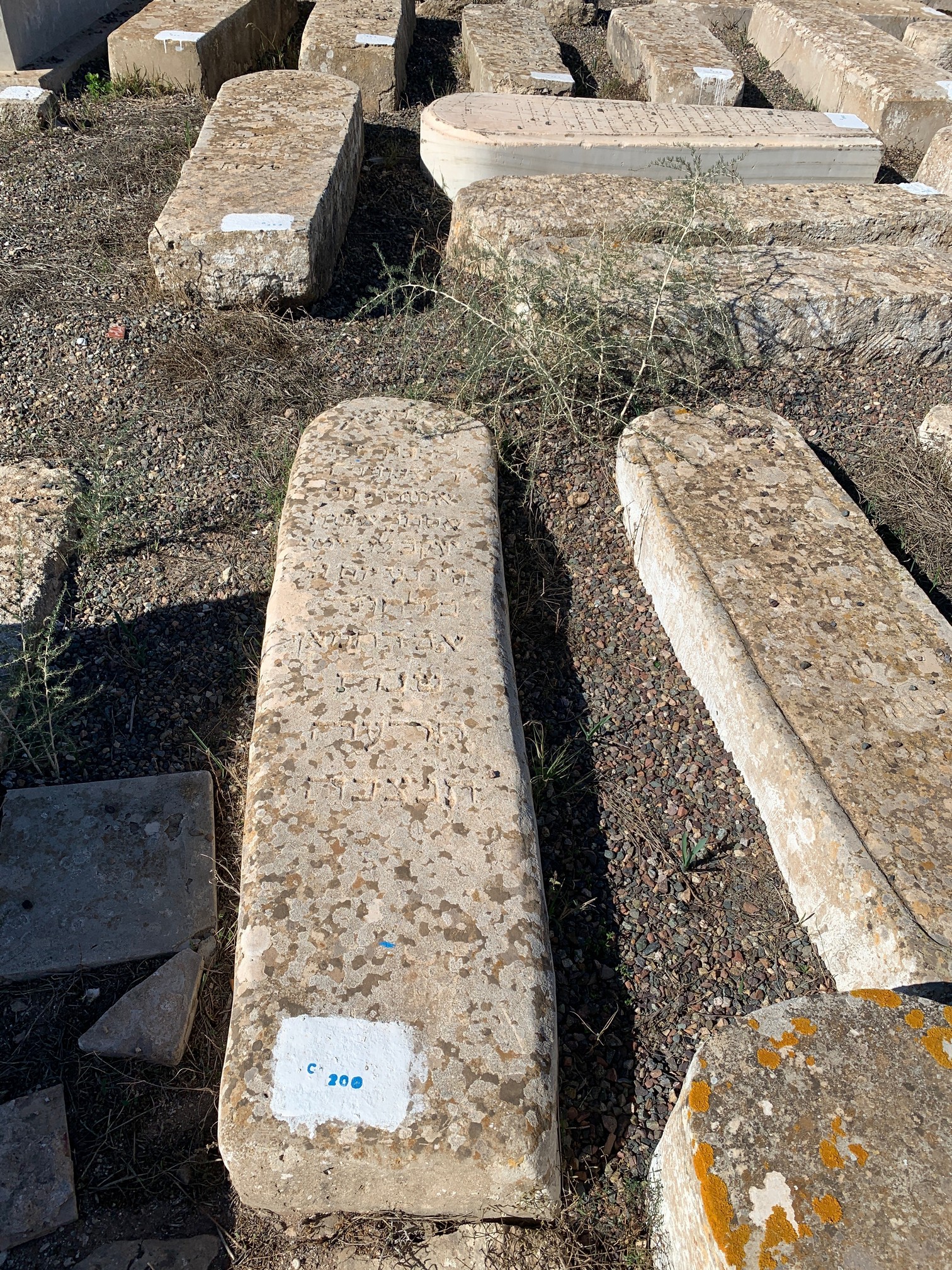 Tombstone of Elgrissi Mazal