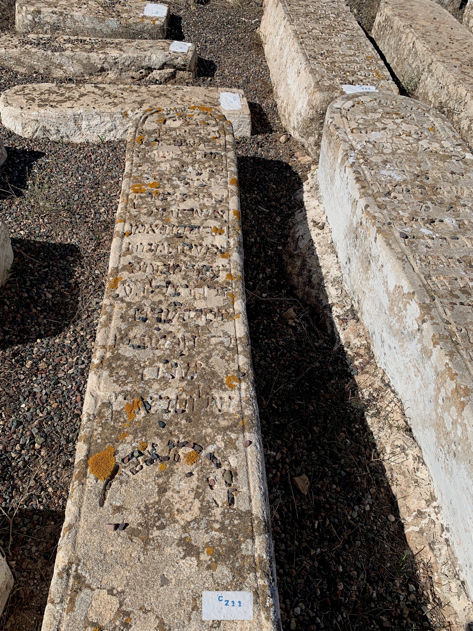 מצבת Maman Shoshana