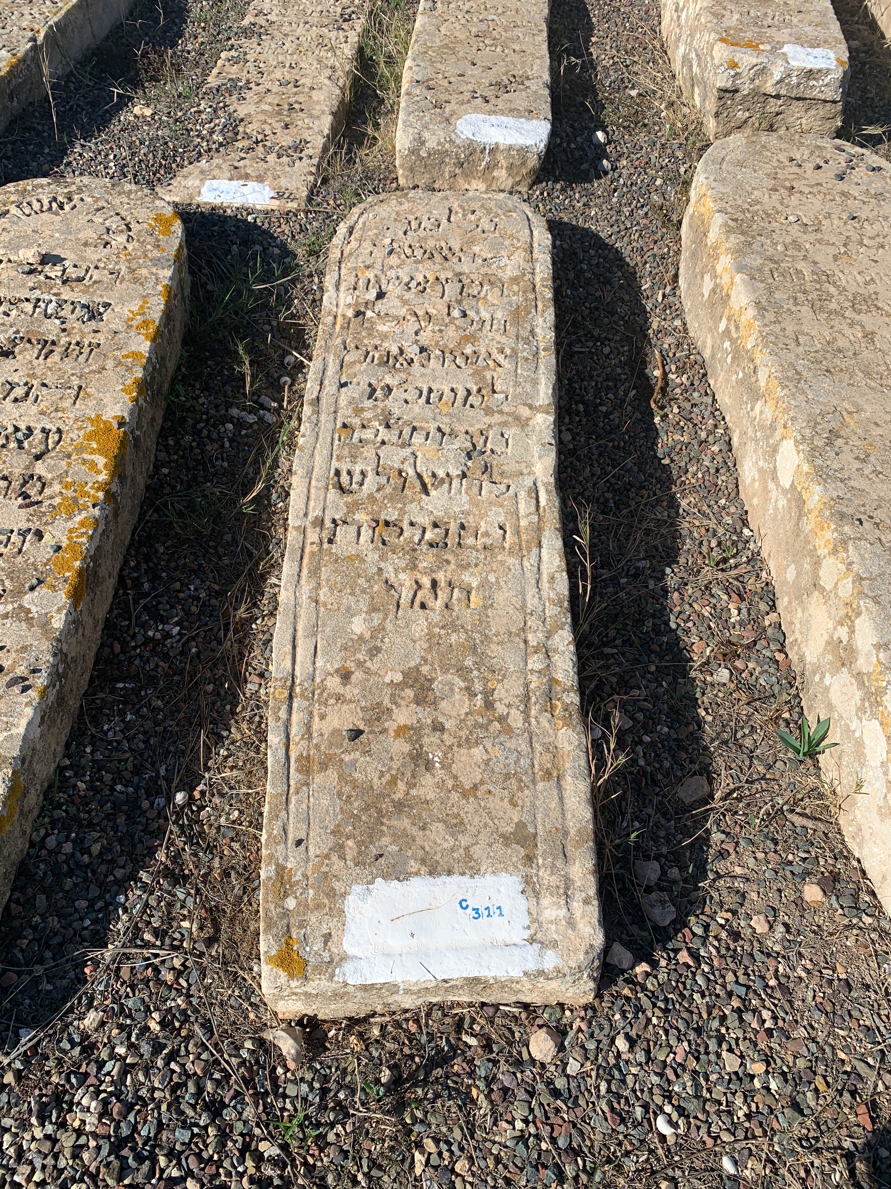 מצבת Elmoznino Aicha