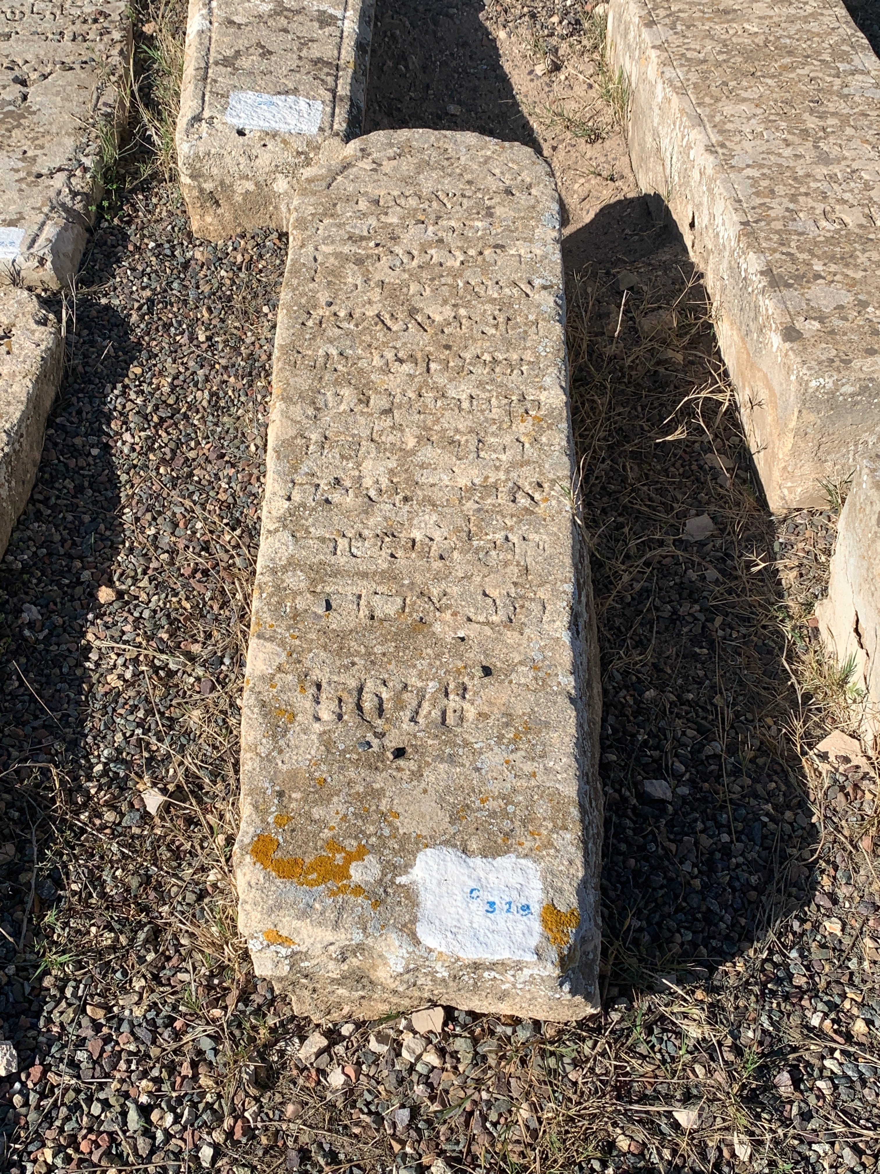 מַצֵּבה פון Harbon Hnina