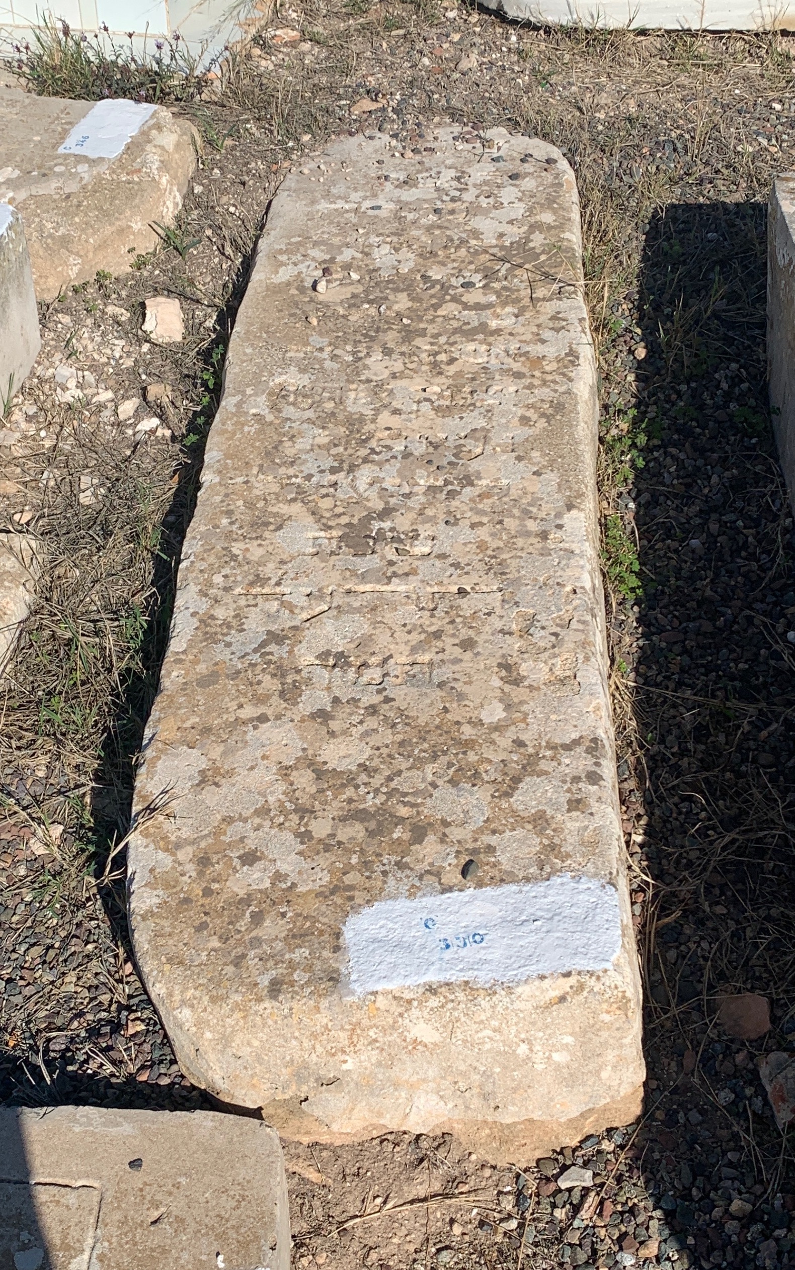 מַצֵּבה פון Ohana Esther