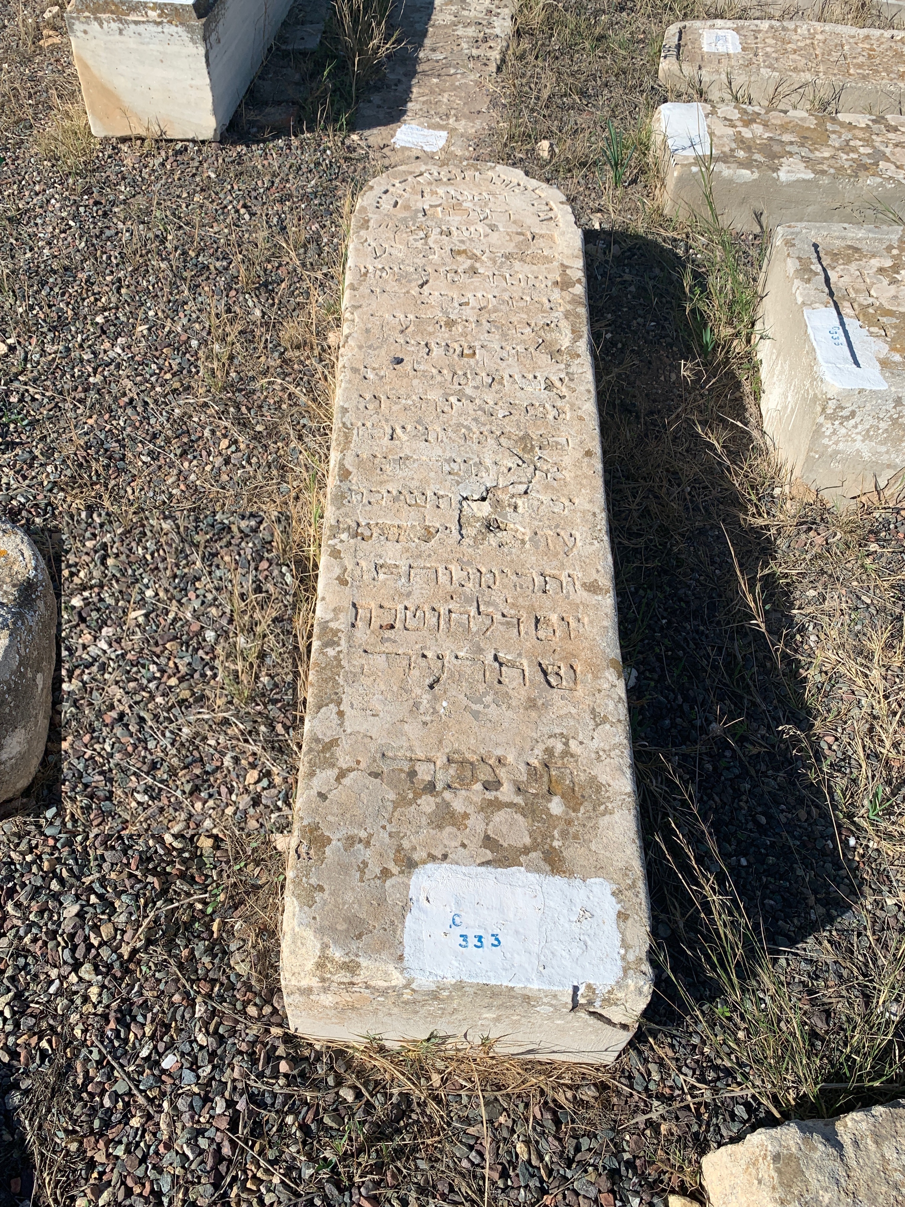 Stèle de Elmaleh Shiimon