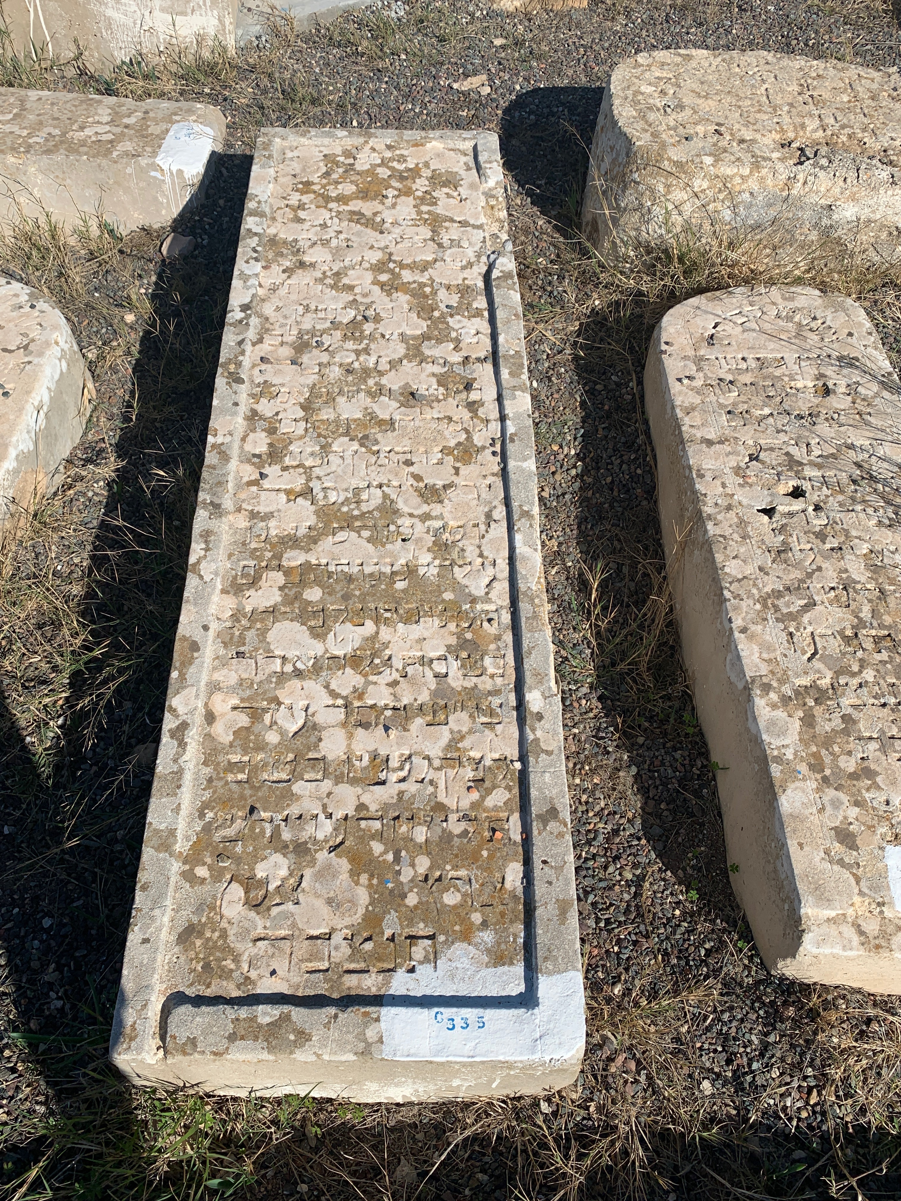 מַצֵּבה פון Murciano Yossef