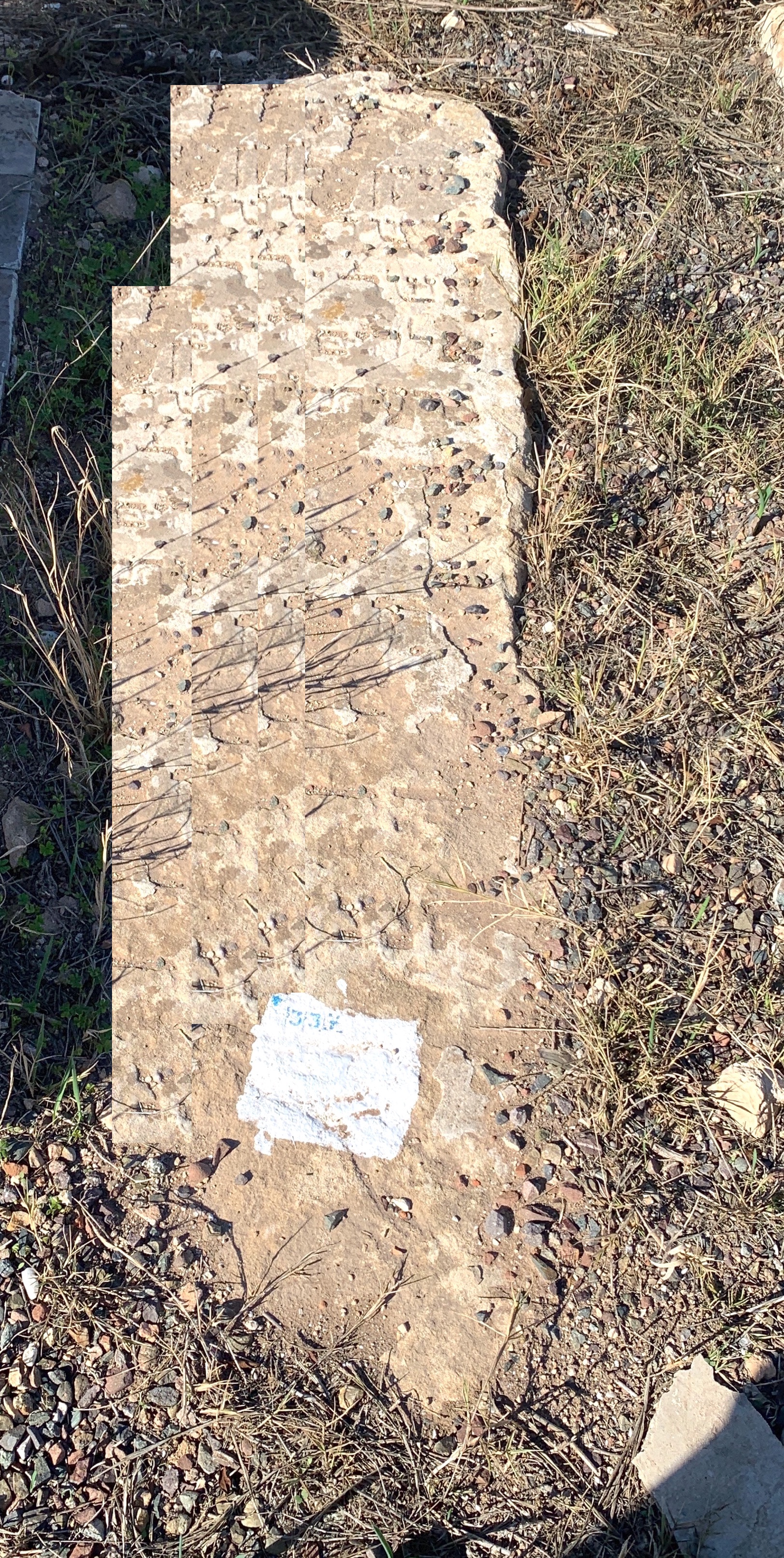 מצבת Elaloum Moshe