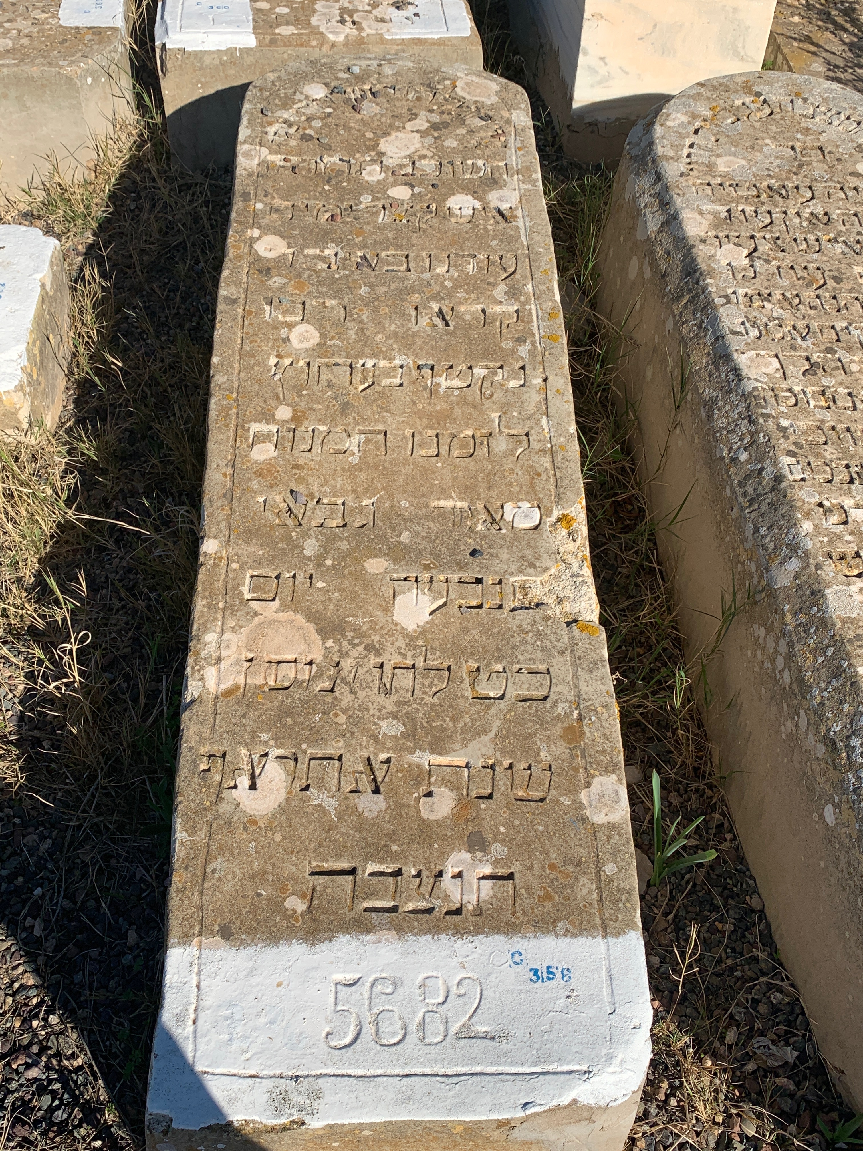 מצבת Gabay Meir