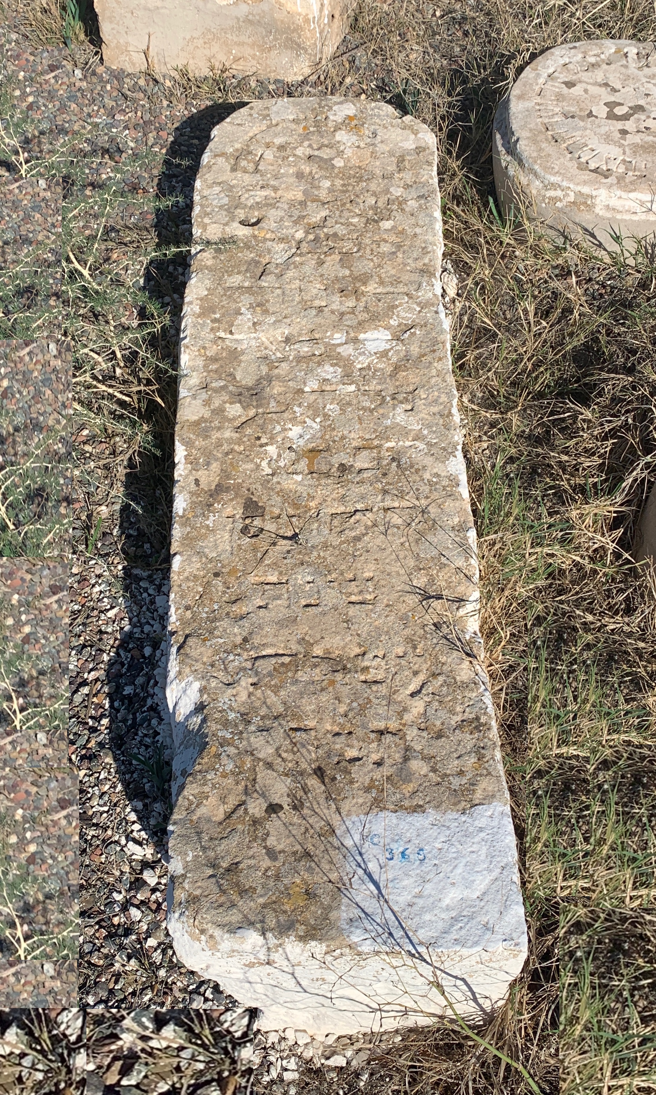 Stèle de Elmaleh Massoud