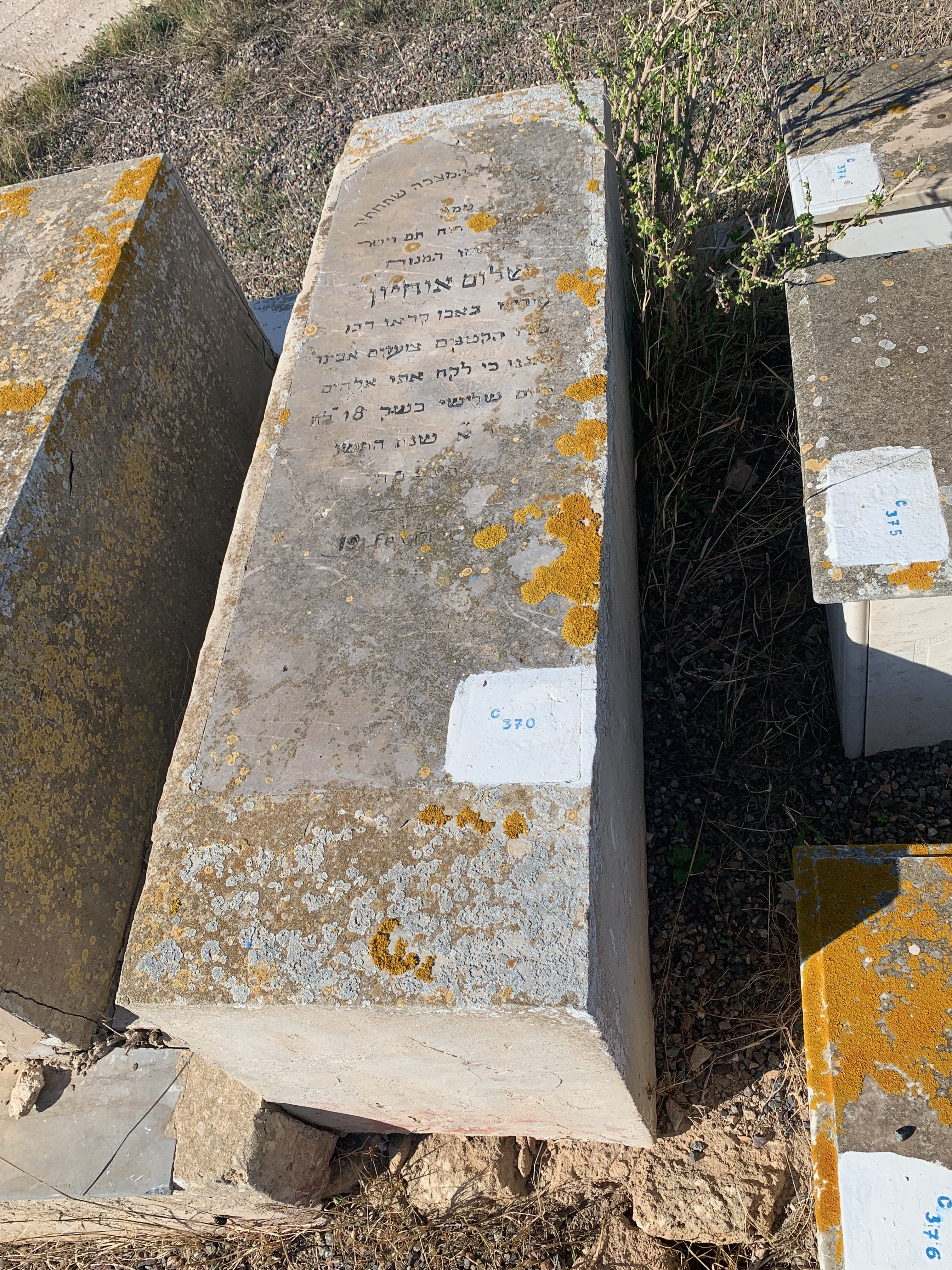 Stèle de Ohayon Shalom
